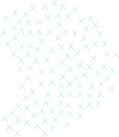 shape