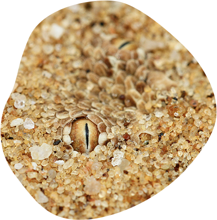 What Danger is Your Skin Hiding?